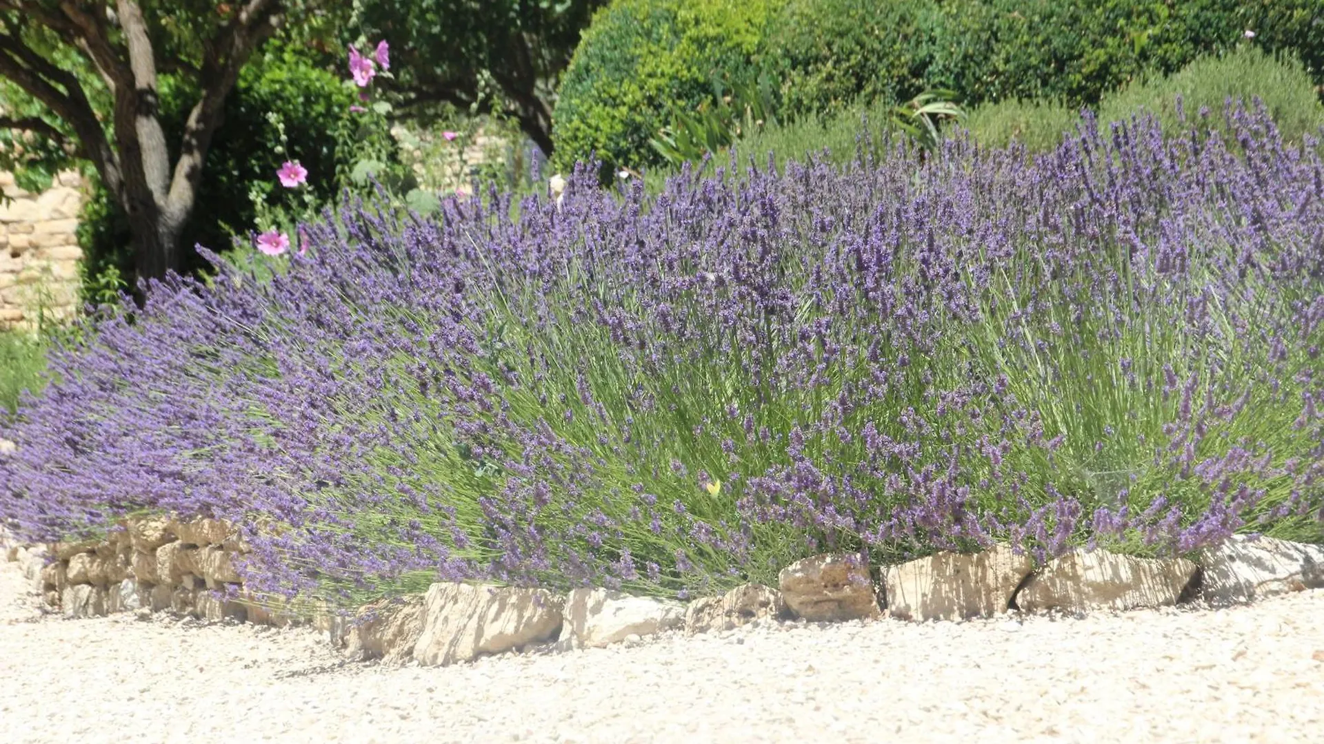 Gite Pebre D'Ai Avec Piscine Partagee Gordes France